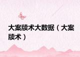 大案牍术大数据（大案牍术）