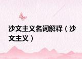 沙文主义名词解释（沙文主义）