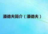 潘德夫简介（潘德夫）