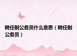 聘任制公务员什么意思（聘任制公务员）