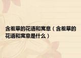 含羞草的花语和寓意（含羞草的花语和寓意是什么）