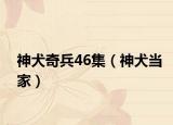 神犬奇兵46集（神犬当家）