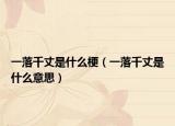 一落千丈是什么梗（一落千丈是什么意思）