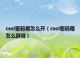 csol密码箱怎么开（csol密码箱怎么获得）