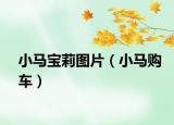 小马宝莉图片（小马购车）