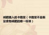 减肥摄入的卡路里（卡路里不是衡量食物减肥的唯一标准）