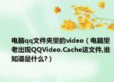 电脑qq文件夹里的video（电脑里老出现QQVideo.Cache这文件,谁知道是什么?）