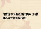 抖音群怎么设置进群条件（抖音群怎么设置进群权限）