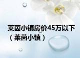 莱茵小镇房价45万以下（莱茵小镇）