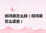 何鸿燊怎么拼（何鸿燊怎么读音）