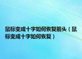 鼠标变成十字如何恢复箭头（鼠标变成十字如何恢复）