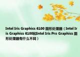 Intel Iris Graphics 6100 图形处理器（Intel Iris Graphics 6100和Intel Iris Pro Graphics 图形处理器有什么不同）