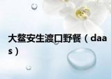 大鳌安生渡口野餐（daas）