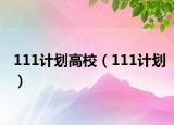 111计划高校（111计划）