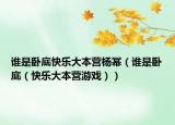 谁是卧底快乐大本营杨幂（谁是卧底（快乐大本营游戏））