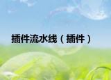 插件流水线（插件）