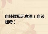 自锁螺母示意图（自锁螺母）