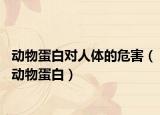 动物蛋白对人体的危害（动物蛋白）