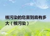 核污染的危害到底有多大（核污染）