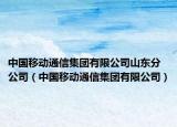 中国移动通信集团有限公司山东分公司（中国移动通信集团有限公司）