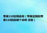苹果110官网查询（苹果官网和苹果110到底哪个准啊 求助）