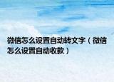 微信怎么设置自动转文字（微信怎么设置自动收款）