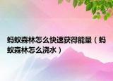 蚂蚁森林怎么快速获得能量（蚂蚁森林怎么浇水）