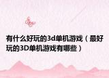 有什么好玩的3d单机游戏（最好玩的3D单机游戏有哪些）