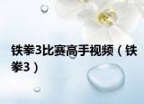 铁拳3比赛高手视频（铁拳3）