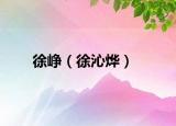 徐峥（徐沁烨）