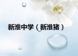 新淮中学（新淮猪）