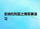 安纳托利亚之鹰军事演习