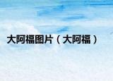 大阿福图片（大阿福）