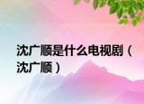 沈广顺是什么电视剧（沈广顺）