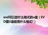 evd可以放什么格式的u盘（EVD插U盘能用什么格式?）