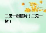 二见一树照片（二见一树）