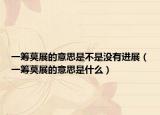 一筹莫展的意思是不是没有进展（一筹莫展的意思是什么）