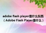 adobe flash player是什么东西（Adobe Flash Player是什么）