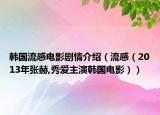 韩国流感电影剧情介绍（流感（2013年张赫,秀爱主演韩国电影））