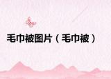 毛巾被图片（毛巾被）