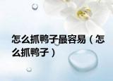 怎么抓鸭子最容易（怎么抓鸭子）