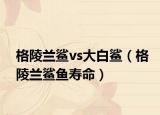 格陵兰鲨vs大白鲨（格陵兰鲨鱼寿命）