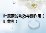 叶黄素的功效与副作用（叶黄素）
