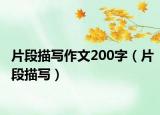 片段描写作文200字（片段描写）