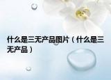 什么是三无产品图片（什么是三无产品）