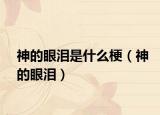 神的眼泪是什么梗（神的眼泪）