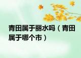 青田属于丽水吗（青田属于哪个市）