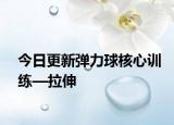 今日更新弹力球核心训练—拉伸