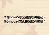 华为nova5怎么设置软件密码（华为nova4怎么设置软件密码）