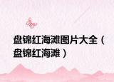 盘锦红海滩图片大全（盘锦红海滩）